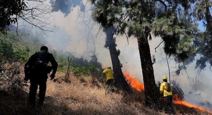 La Araucanía: Declaran alerta roja regional por simultaneidad de incendios