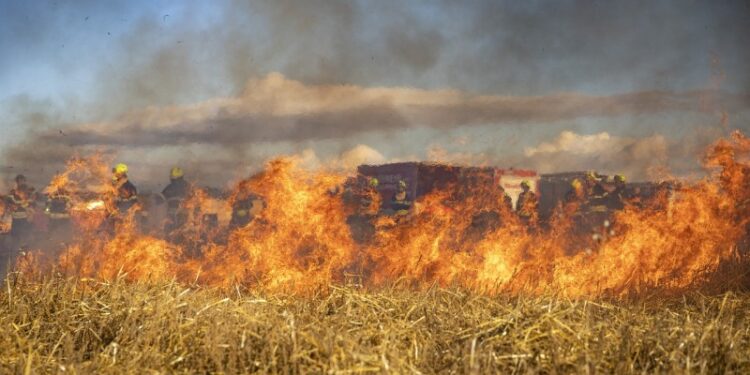 Incendio forestal se registró en sector Curaco: involucró zona de rastrojos y trigo