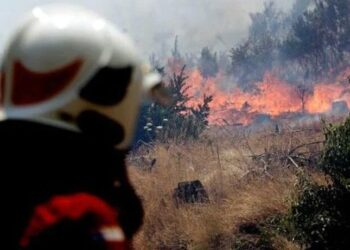 Río Negro: Incendio forestal en sector Riachuelo moviliza a unidades de emergencia