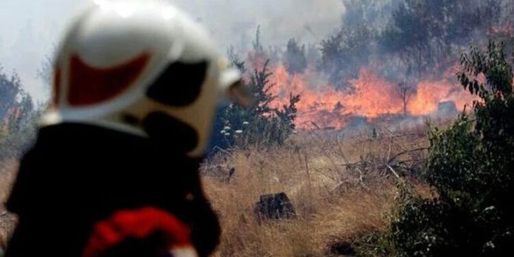 Río Negro: Incendio forestal en sector Riachuelo moviliza a unidades de emergencia