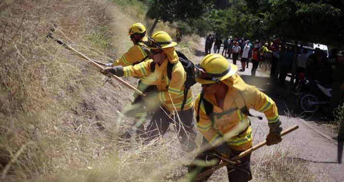14 detenidos el fin de semana por iniciar incendios forestales y toque de queda se mantiene en La Araucanía