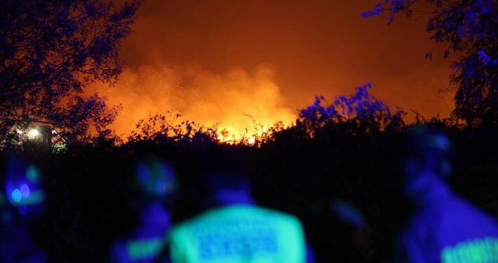 Incendios: Conaf reporta 22 en combate y hectáreas arrasadas por el fuego suben a más de 14 mil