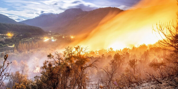 Cómo se prepara la región de Los Lagos ante llegada de incendio que afecta a Argentina