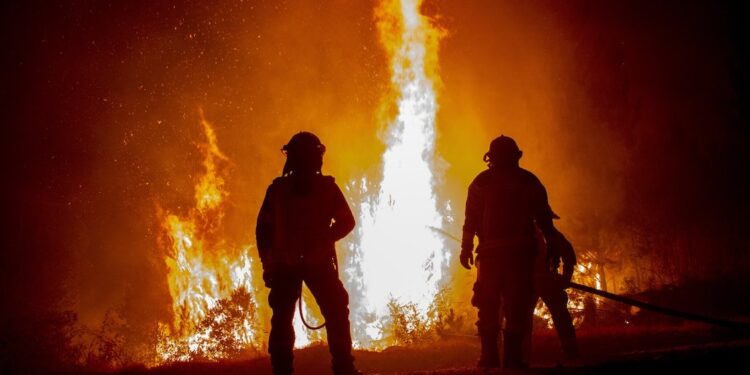 Bomberos fueron atacados a balazos durante incendio forestal en La Araucanía