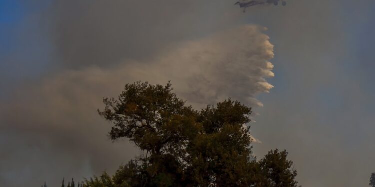 Incendio forestal argentino avanza hacia Cochamó: Autoridades se preparan para combatirlo