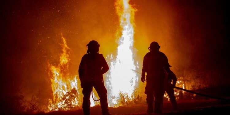 Incendios forestales: Gobierno confirmó muerte de una mujer en Curepto