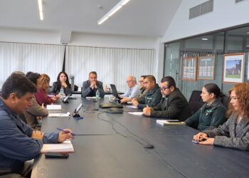Comisión de Seguridad: Gendarmería expuso necesidades sobre flota vehicular y habitabilidad de funcionarios