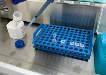 Académicos UST Osorno exponen investigación de transmisión de enfermedades entre especies invasoras y nativas