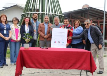 Fortalecen acciones de prevención y abordaje de salud mental en comunas de la provincia de Osorno 