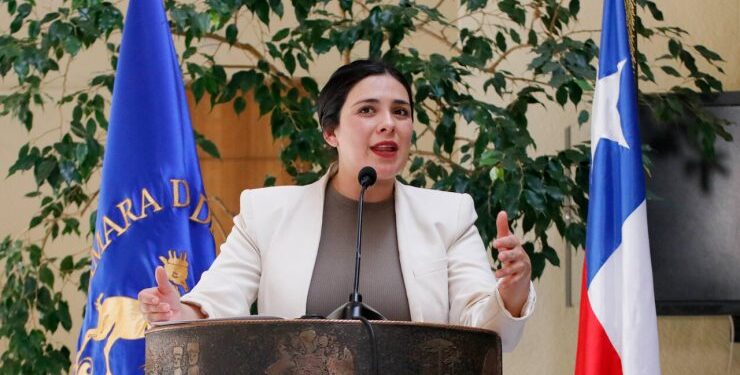 Karol Cariola denuncia violación de derechos tras allanamiento en su hogar