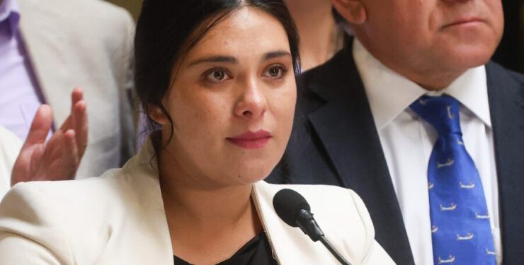 Revelan nuevos chats que evidencian que Cariola habría gestionado puesto de trabajo a un amigo