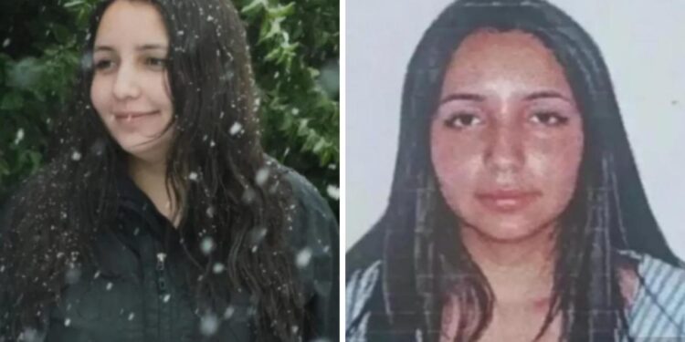 Joven de 29 años desapareció en sendero de Cochamó: no tenía experiencia en trekking