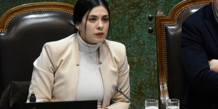 Caso Sierra Bella: PDI allana casa de Karol Cariola e incauta un notebook y un celular