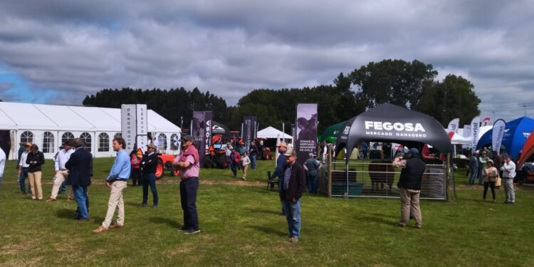 Expo Ferosor 2025 brilló con luces propias en Pilauco