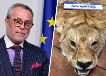 Cancillería abre sumario a embajador chileno investigado por contrabando de pieles de animales salvajes