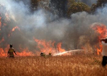 Grandes incendios forestales en Biobío, Ñuble, La Araucanía y Los Ríos