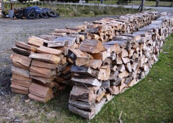 Conaf realizó seminario de leña en Osorno junto a pequeños y medianos productores