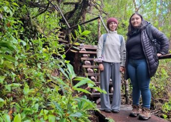 “Guiña Jump”: Estudiantes ULagos crean proyecto de videojuego sobre fauna nativa de Chiloé