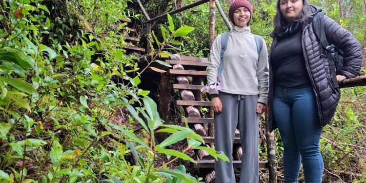 “Guiña Jump”: Estudiantes ULagos crean proyecto de videojuego sobre fauna nativa de Chiloé