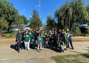 Estudiantes de de Santo Tomás Osorno realizaron acciones comunitarias en Mechoneo Solidario
