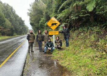 En sectores aledaños al Parque Nacional Puyehueinstalan señalética por campaña Lento por la Fauna