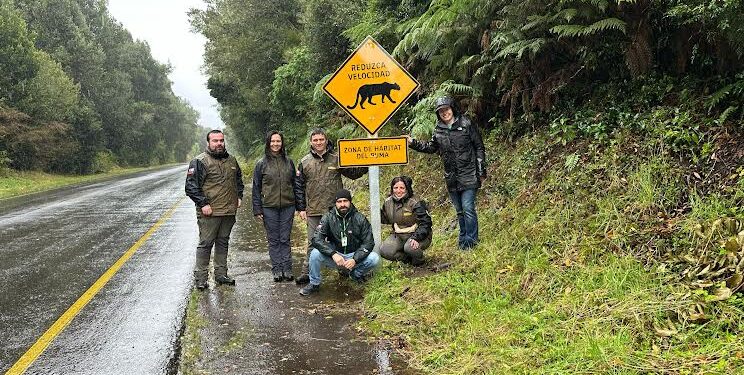 En sectores aledaños al Parque Nacional Puyehueinstalan señalética por campaña Lento por la Fauna
