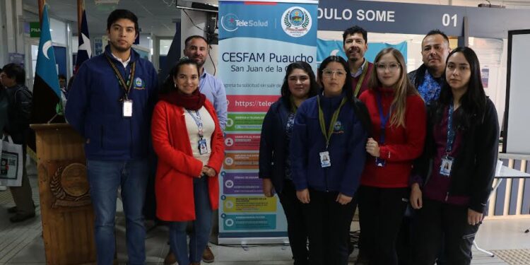 Implementan en Cesfam de Puaucho la estrategia ministerial Telesalud