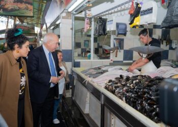 Autoridades inspeccionaron obras de mejoramiento de feria libre Rahue