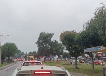 Osorno: Desde este martes comenzaron modificaciones temporales en ruta U-160