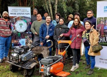 Hasta el 14 de abril, INDAP abrió concurso para jóvenes de sectores rurales de la provincia de Osorno