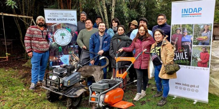 Hasta el 14 de abril, INDAP abrió concurso para jóvenes de sectores rurales de la provincia de Osorno