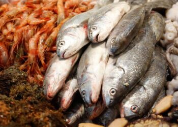 Semana Santa: cómo prevenir intoxicaciones por consumo de pescados y mariscos
