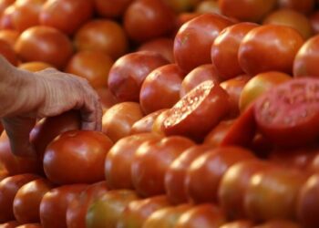 IPC de marzo subió 0,5%: Tomates, vinos y la carne de vacuno vieron alzas en sus precios