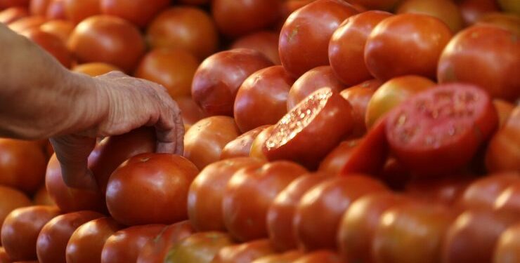IPC de marzo subió 0,5%: Tomates, vinos y la carne de vacuno vieron alzas en sus precios