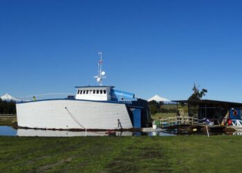 Grave ataque de jauría afectó a animales del Parque Acuario Lago Puyehue
