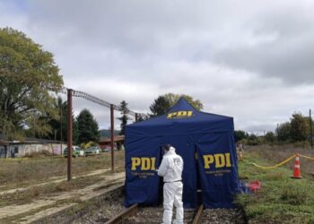 Adulto mayor fue hallado sin vida en la vía férrea en Antilhue: Habría sido atropellado por un tren 