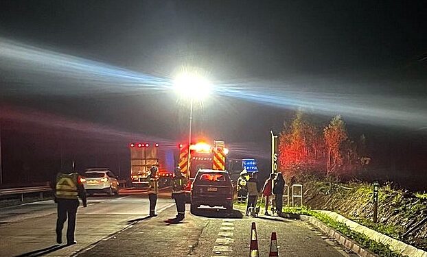 La Unión: Encuentran cuerpo de hombre con indicios de haber sido atropellado en ruta 5 sur