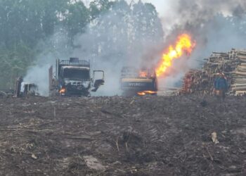 Ataque incendiario en Contulmo deja una máquina forestal y cuatro camiones quemados