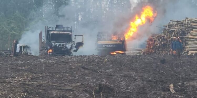 Ataque incendiario en Contulmo deja una máquina forestal y cuatro camiones quemados