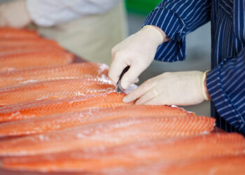 Volumen de exportaciones de salmón chileno cayó 2,8% en el primer trimestre