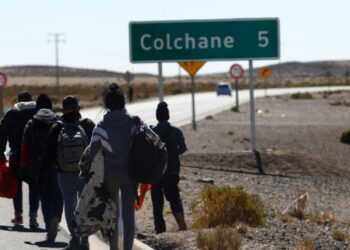 Censo 2024: personas inmigrantes suman 8,8% de la población