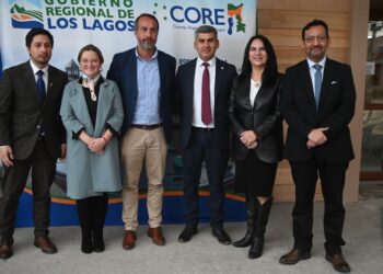 Comisión Transitoria de Seguridad del CORE Los Lagos presenta diagnóstico regional y Plan 2025–2029
