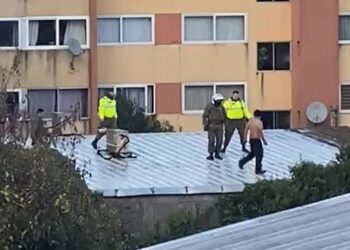 Sujeto semidesnudo escala techo del Diario Austral de Osorno y es detenido por Carabineros