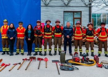 Tres investigaciones se realizan en la actualidad por incendios forestales en provincia de Osorno