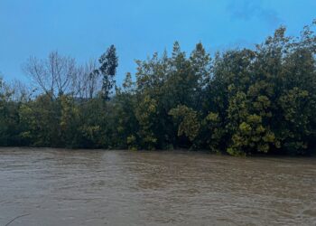 Investigan hallazgo de osamentas en ribera del río Cautín