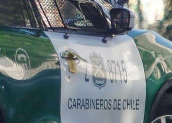 Reportan robo de documentos de estudios referidos a corrupción