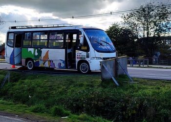 Adulta mayor fallece en ruta 215: fue atropellada por microbús que la trasladaba