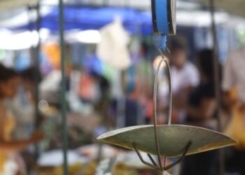 Intenso debate en la Cámara sobre proyecto tributario para feriantes