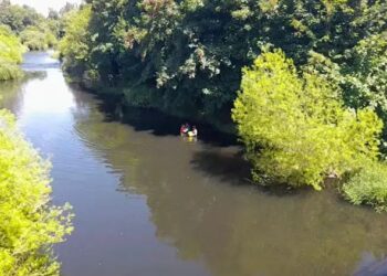 Red Ambiental Ciudadana de Osorno revela situación desembocadura del Río Damas 