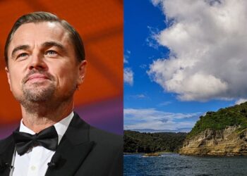 ONG ligada a Leonardo DiCaprio compró Isla Guafo en Chiloé